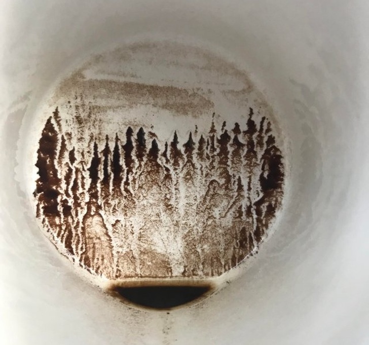 Illustration de l'article : Ces 19 exceptions qui ont marqué les auteurs de ces photos