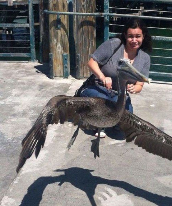 Illustration de l'article : Ces 22 curieux moments capturés au bon moment