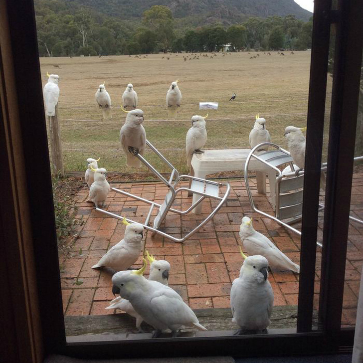 Illustration de l'article : Ces 15 situations étranges rencontrées dans la vie quotidienne