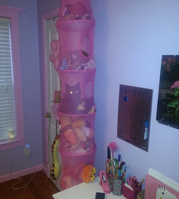 Illustration de l'article : Qui a vraiment le niveau pour trouver l'intrus sur ces 100 photos ? 