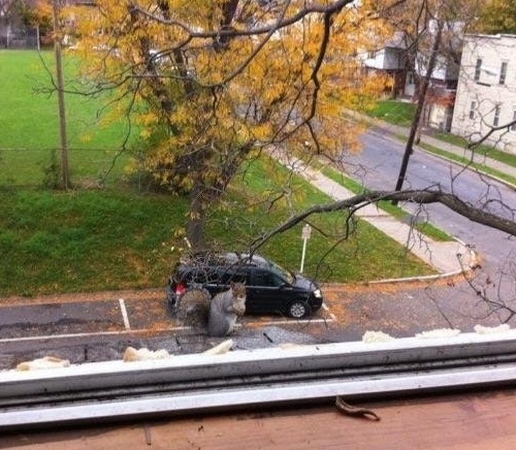 Illustration de l'article : Ces 19 photos qui font buguer le cerveau et réfléchir