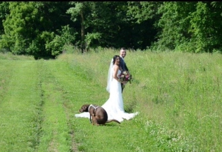 Illustration de l'article : Ces 18 imprévues qui donnent un caractère drôle à la situation