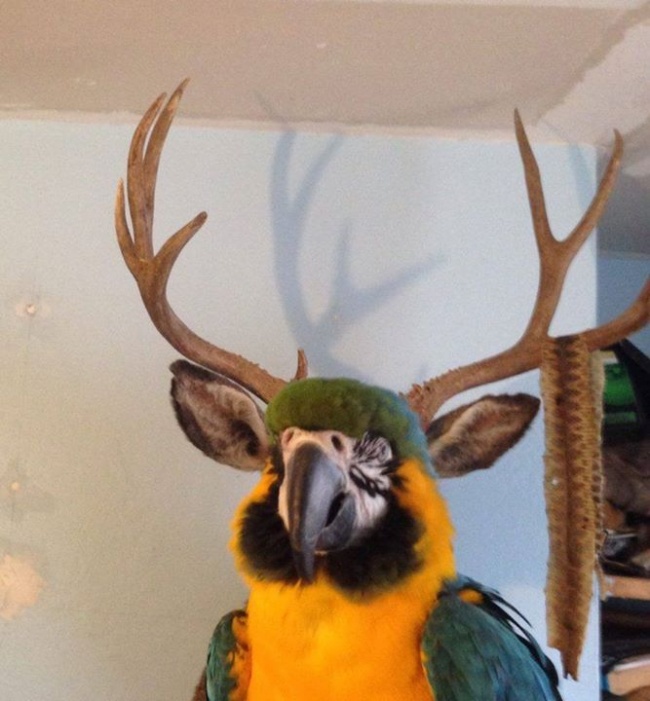 Illustration de l'article : 26 choses qui ne sont pas ce qu’elles paraissent