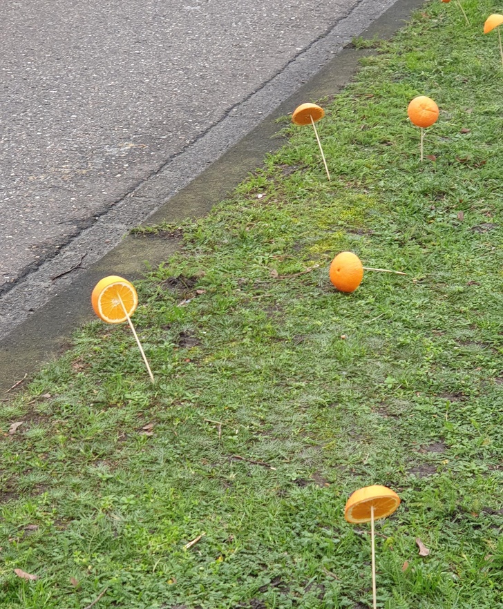 Illustration de l'article : Ces 17 choses dont l'utilisation intriguait leurs propriétaires