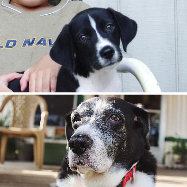 Illustration de l'article : Ces 21 photos qui montrent que le temps passe à une vitesse