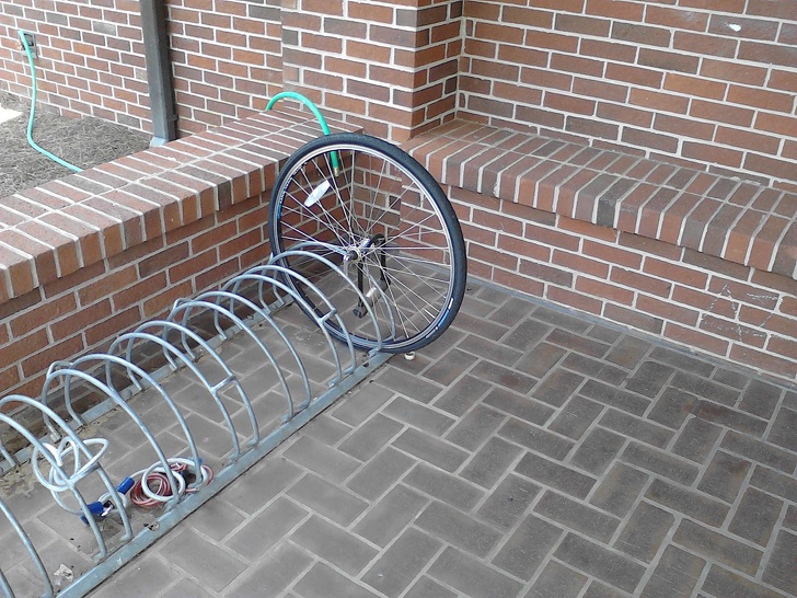 Illustration de l'article : Ces 22 choses curieuses observées et immortalisées par un appareil photo