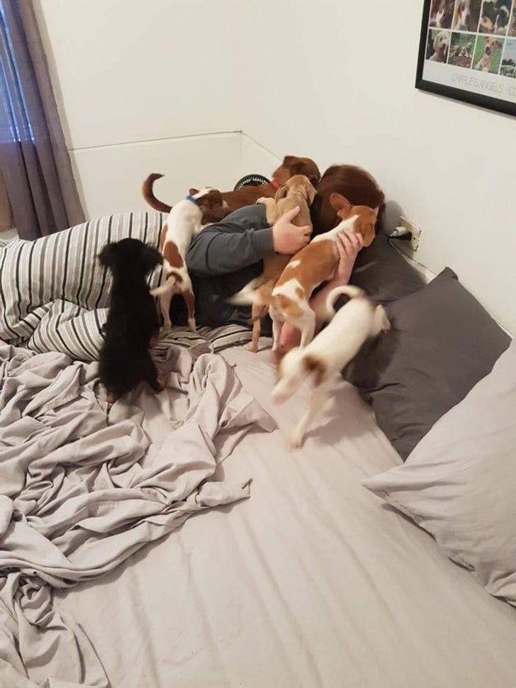 Illustration de l'article : Ces 20 personnes qui ont lou&eacute; un h&eacute;bergement qu'ils n'oublieront pas