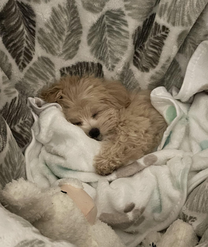 Illustration de l'article : Ces 15 photos qui illustrent des moments d'émotion et de tendresse