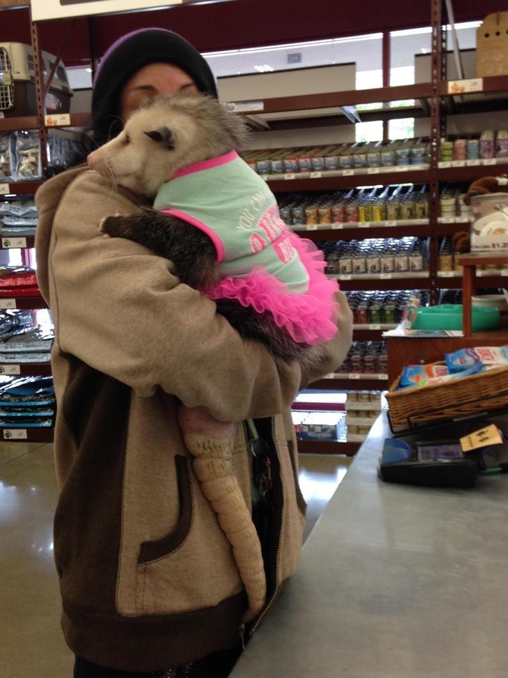 Illustration de l'article : 23 images déroutantes qui vont vous faire bondir de votre chaise