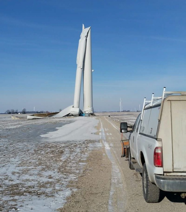 Illustration de l'article : 24 des pires poisses les plus redoutées