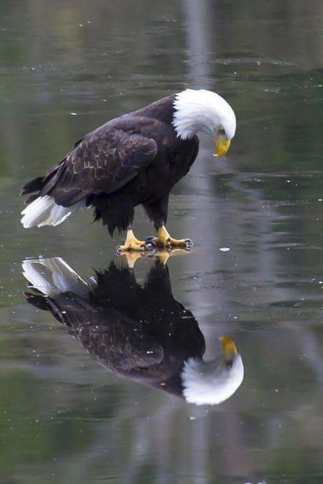 Illustration de l'article : 29 photos authentiques qui sont plus puissantes qu’un montage Photoshop