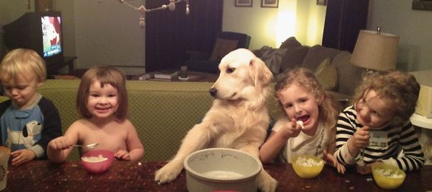 Illustration de l'article : Qui a vraiment le niveau pour trouver l'intrus sur ces 100 photos ? 