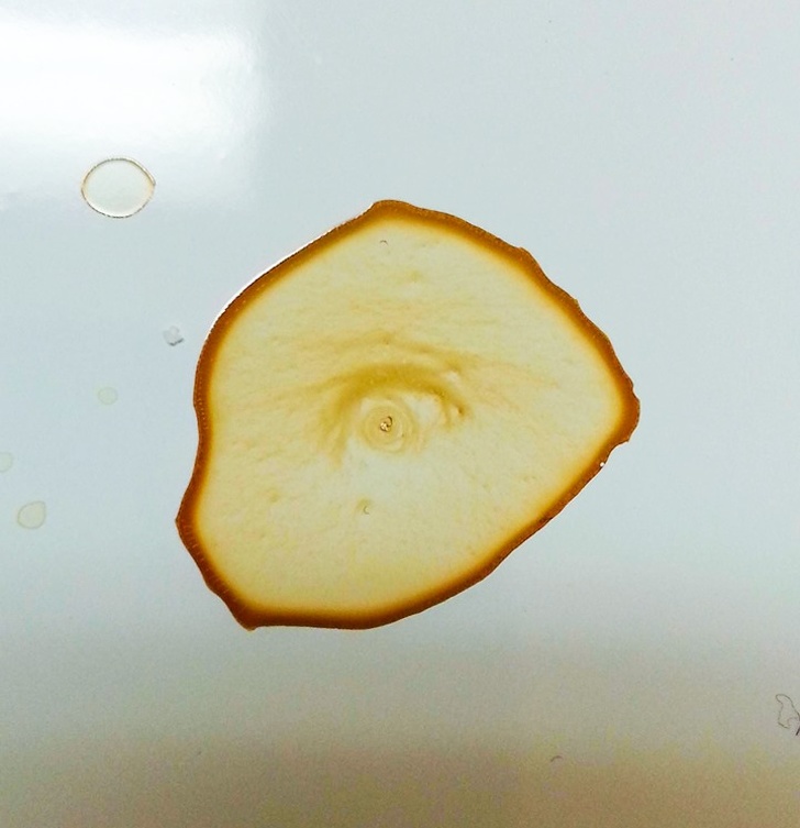 Illustration de l'article : Ces 22 photos qui montrent que le hasard est magique