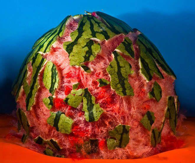 Illustration de l'article : 12 photos d’objets du quotidien transpercés par une balle