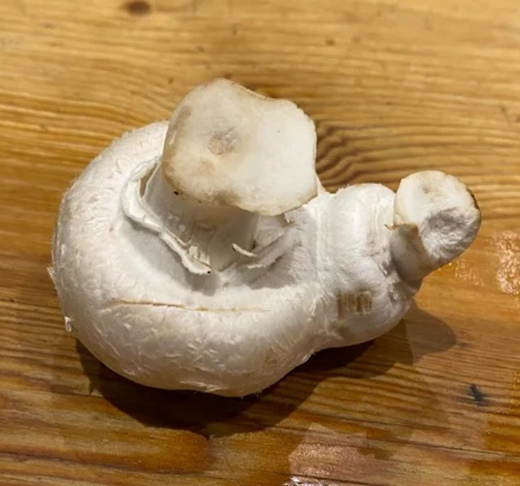 Illustration de l'article : Ces 19 photos qui illustrent les traits d'humour du quotidien