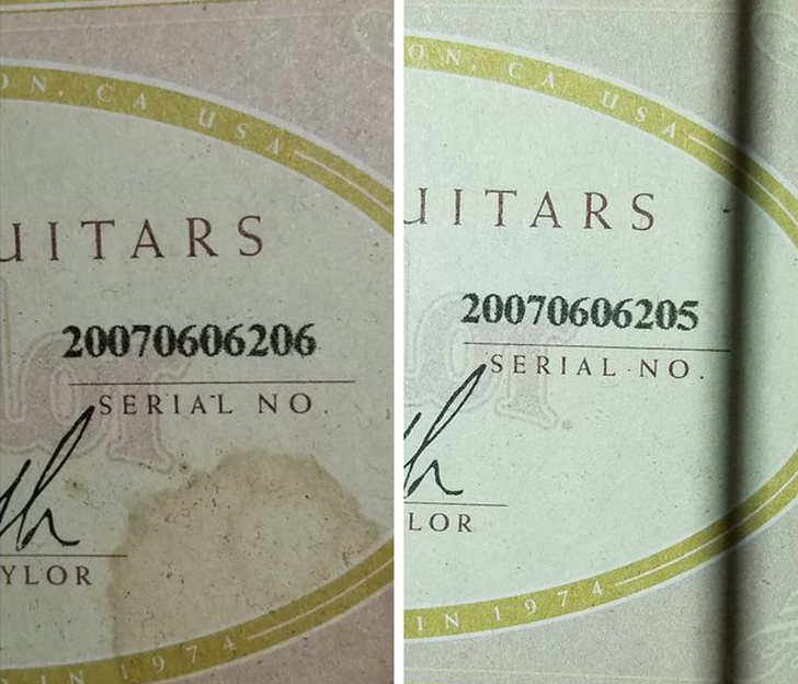 Illustration de l'article : Ces 21 fois où la chance est tombée par hasard