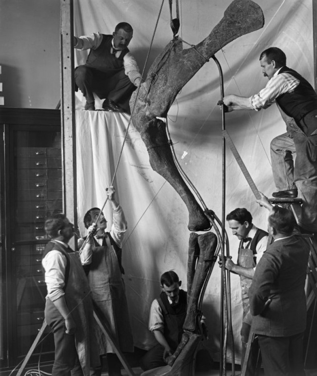 Illustration de l'article : 20 photos qui vont bouleverser votre perception des faits historiques
