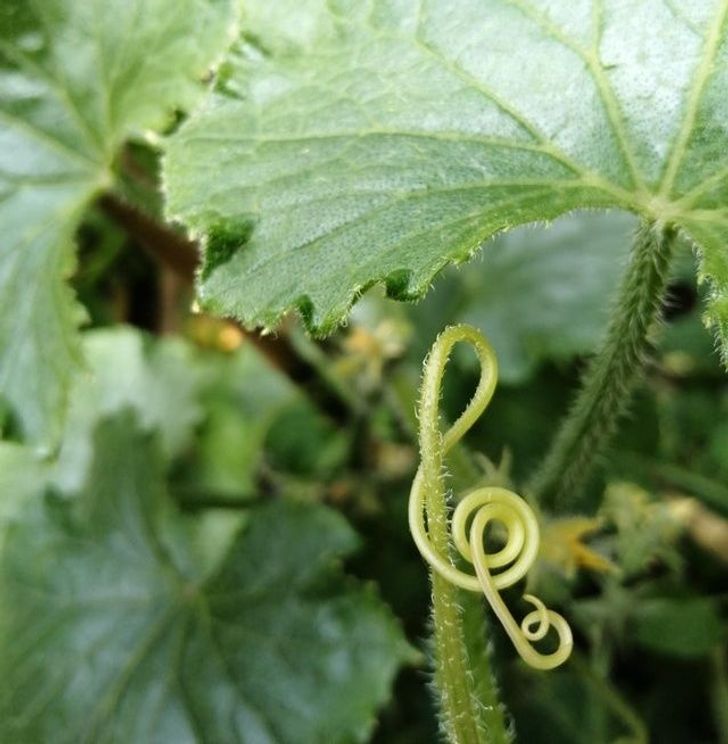 Illustration de l'article : Ces 18 situations comme on en rencontre rarement