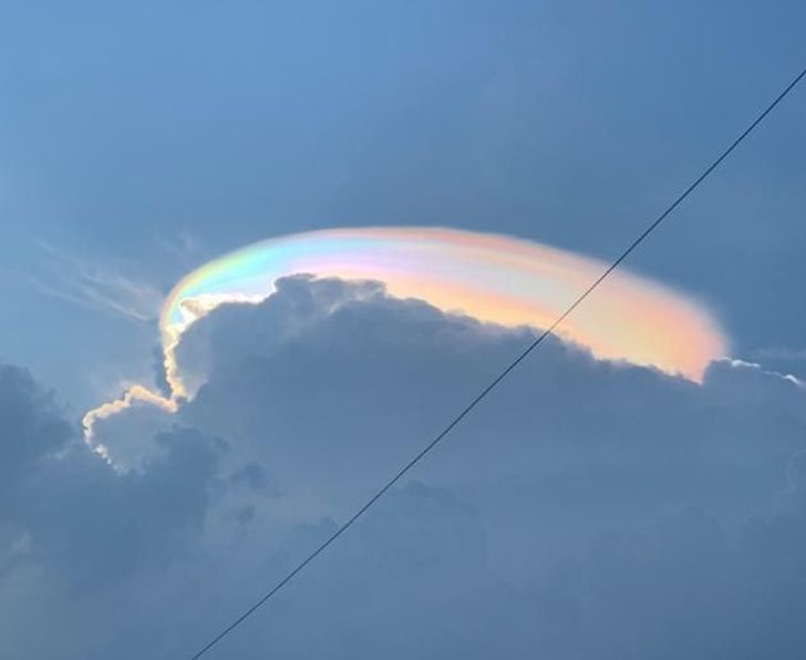 Illustration de l'article : Ces 16 photos qui illustrent la beauté et l'originalité de la nature