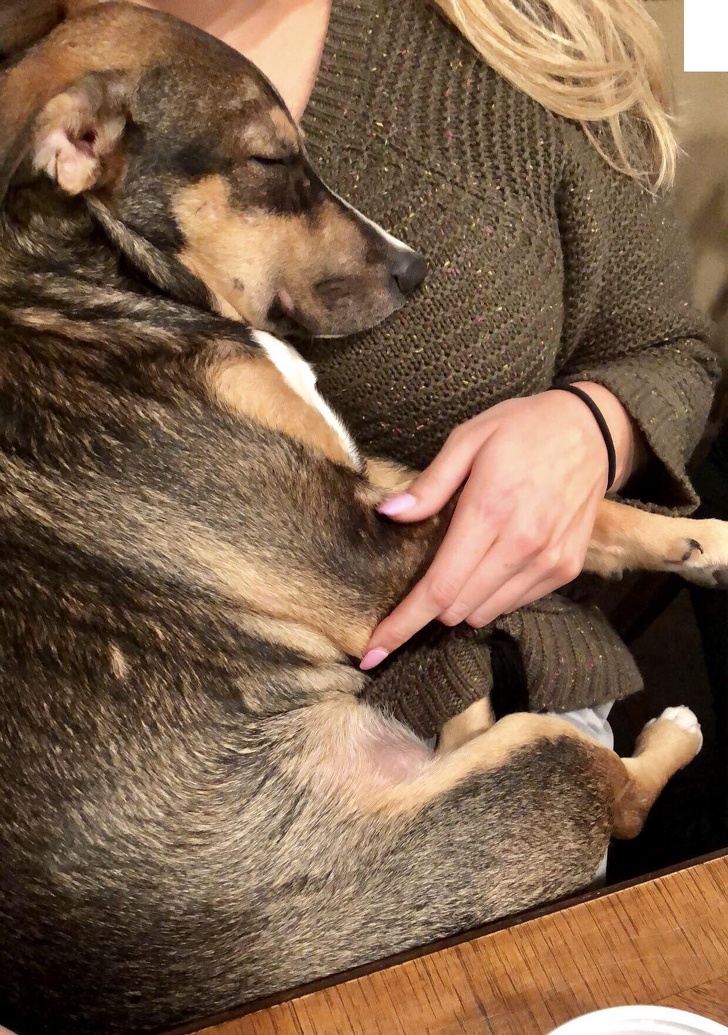 Illustration de l'article : Ces 15 photos qui racontent une histoire sensible