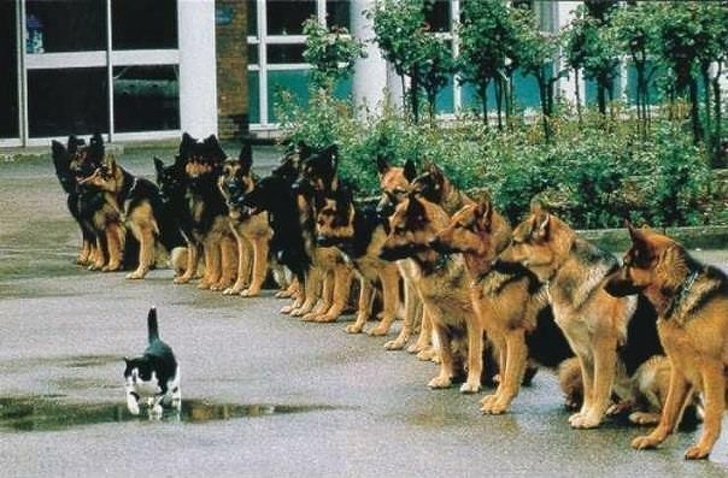 Illustration de l'article : Ces 18 phénomènes peu communs observés un peu partout dans le monde