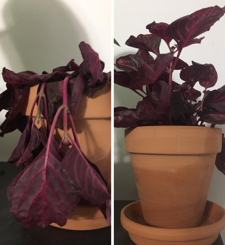 Illustration de l'article : Ces 23 comparaisons entre deux choses normalement similaires