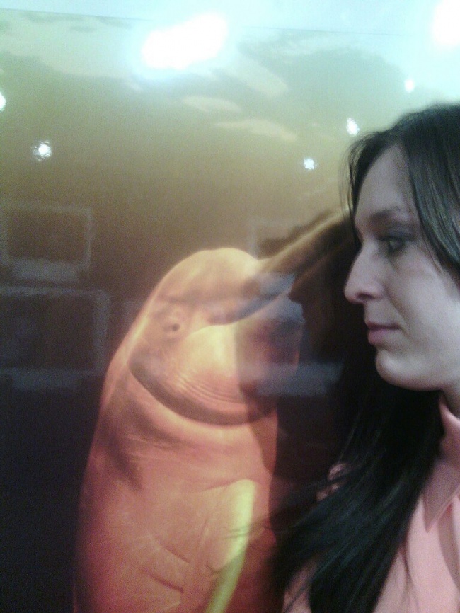 Illustration de l'article : 16 photos qui vont embrouiller votre esprit