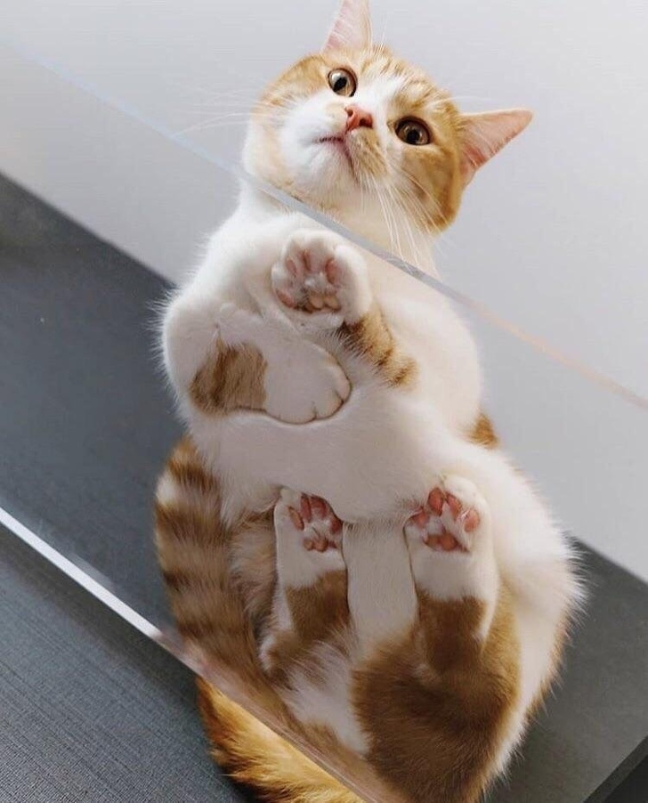 Illustration de l'article : Ces 13 photos qui montrent que l'on peut faire des découvertes tous les jours