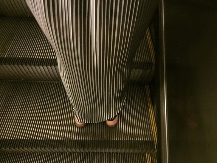 Illustration de l'article : Ces 21 photos demandent un peu de temps avant de les comprendre