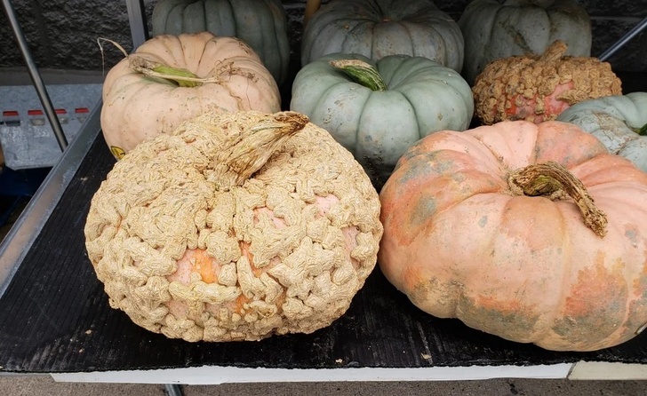 Illustration de l'article : Ces 25 photos d'objets du quotidien qui se démarquent