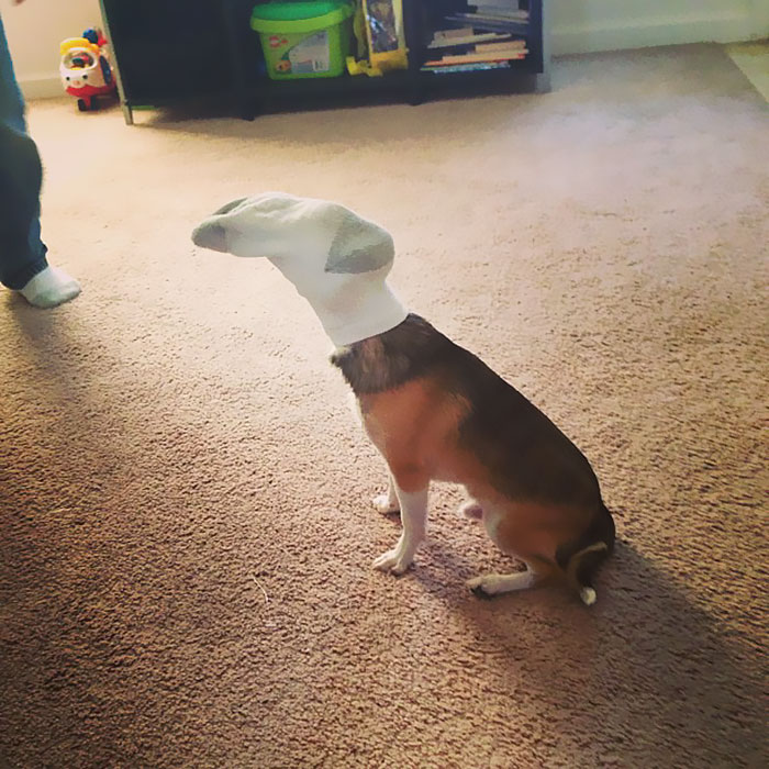 Illustration de l'article : 20 grosses b&ecirc;tises qui font bien rire ceux qui n&rsquo;ont pas d&rsquo;enfant