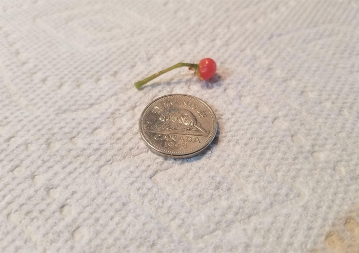 Illustration de l'article : Ces 24 personnes qui ont assurément passé une très mauvaise journée