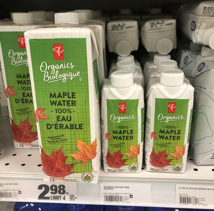 Illustration de l'article : Ces 21 photos pour découvrir le Canada