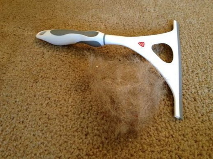 Illustration de l'article : Ces 15 astuces pour faire ses tâches ménagères plus rapidement