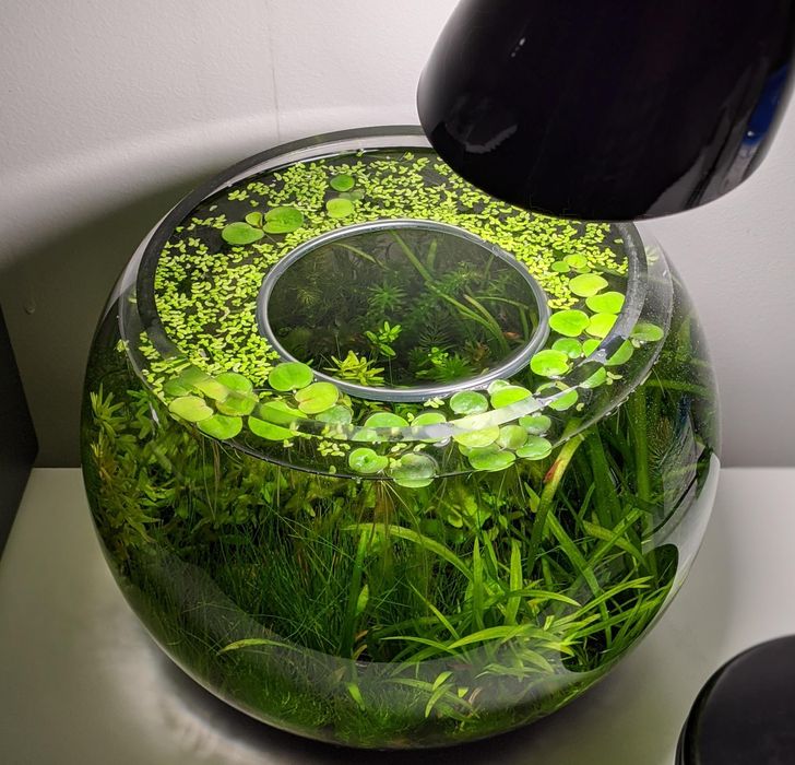 Illustration de l'article : Ces 19 personnes qui ont rendu leur maison plus pratique sans dépenser un seul centime