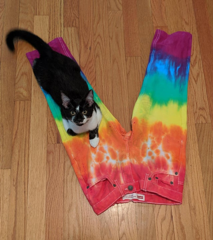 Illustration de l'article : Ces 17 photos qui illustrent la créativité décalée de certaines personnes