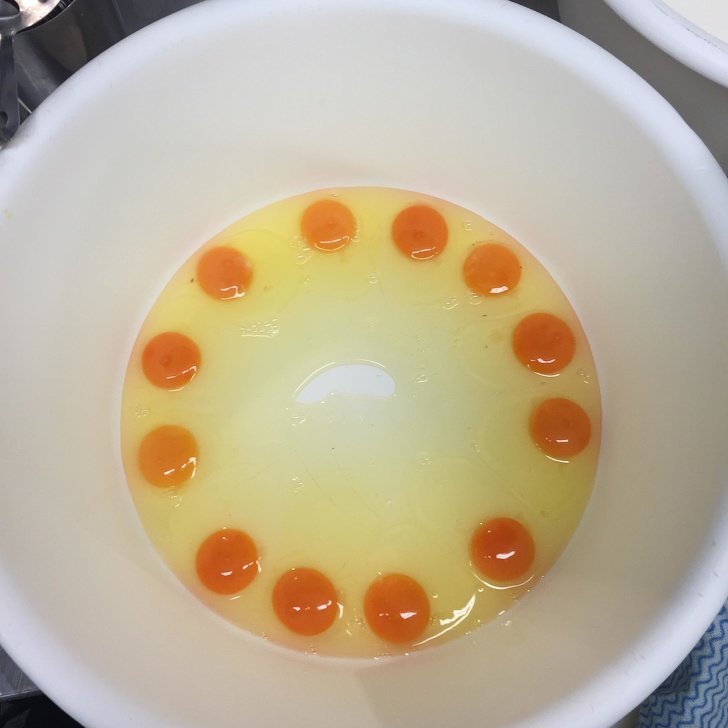 Illustration de l'article : Ces 26 photos qui épousent la perfection