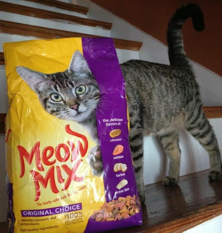 Illustration de l'article : Ces 26 photos qui épousent la perfection