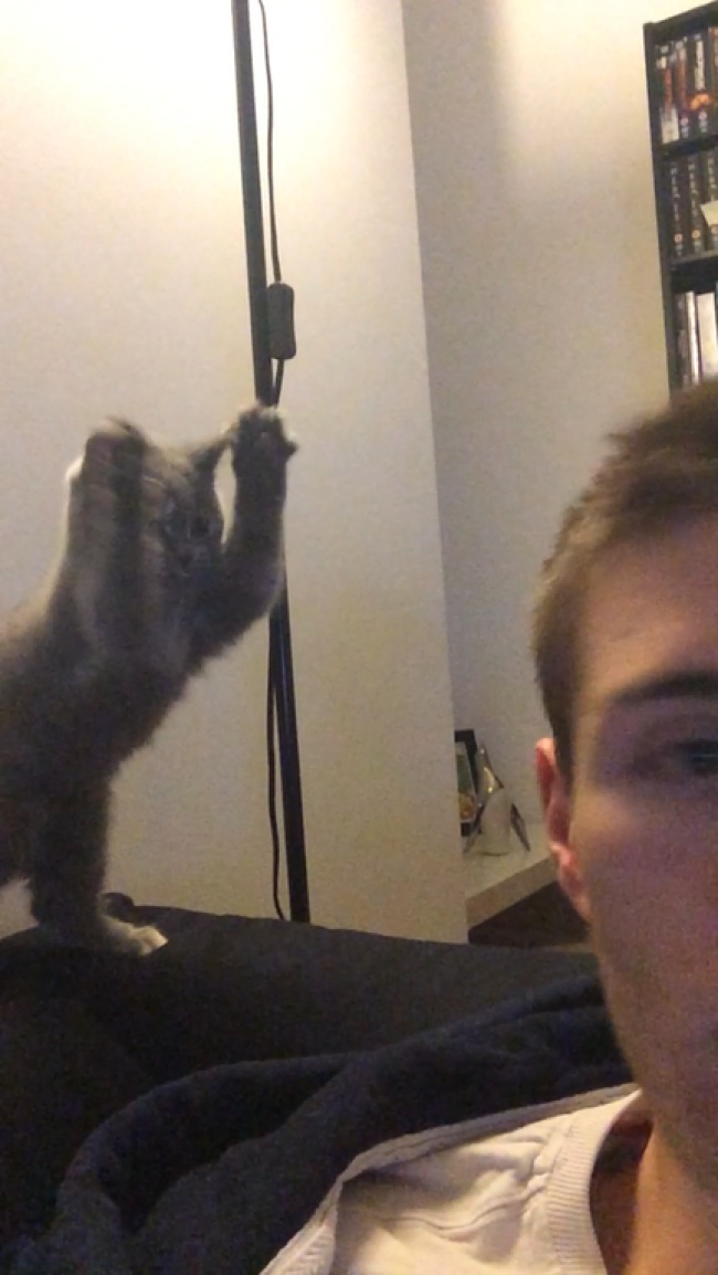 Illustration de l'article : 24 photos dont l’arrière-plan est bien plus drôle que l’action principale