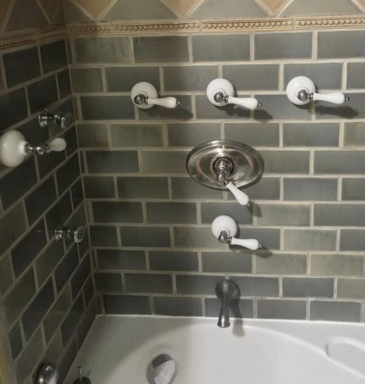 Illustration de l'article : Ces 19 photos qui ont le don de faire hérisser les poils