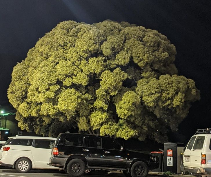 Illustration de l'article : Ces 18 photos illustrant les petites coïncidences de la vie