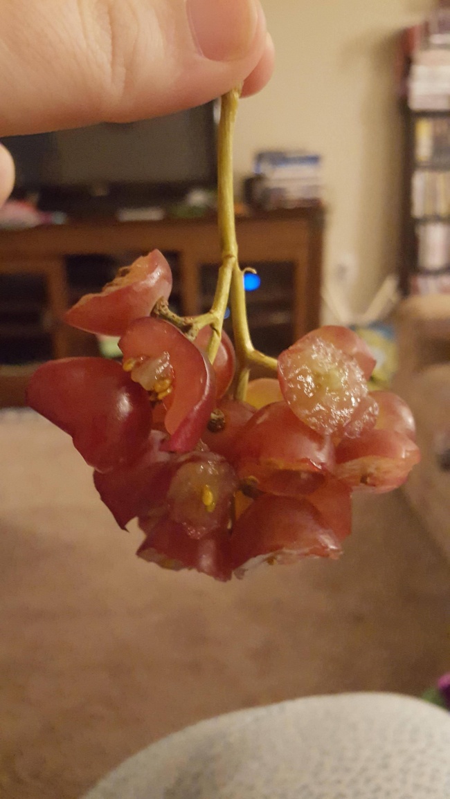 Illustration de l'article : 30 façons de vous démarquer des autres avec des astuces originales