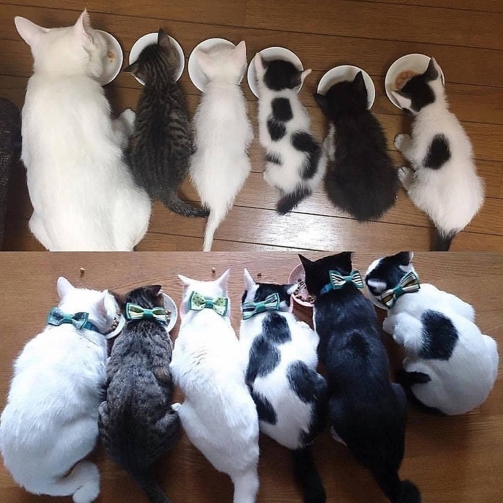 Illustration de l'article : Ces 20 photos avant/après qui montrent que certaines choses ne changent jamais