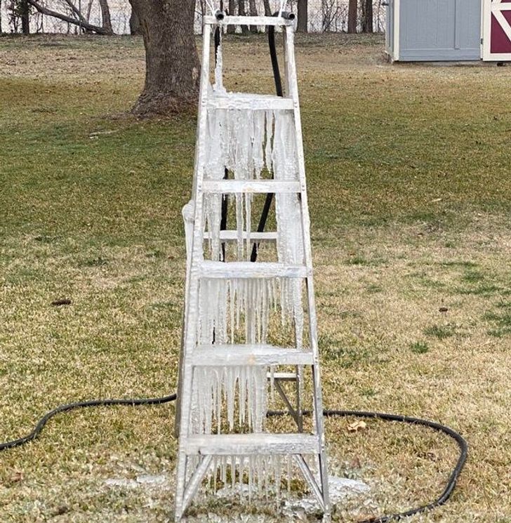 Illustration de l'article : Ces 18 personnes qui ne toujours pas pr&ecirc;tes &agrave; passer &agrave; l'&acirc;ge adulte