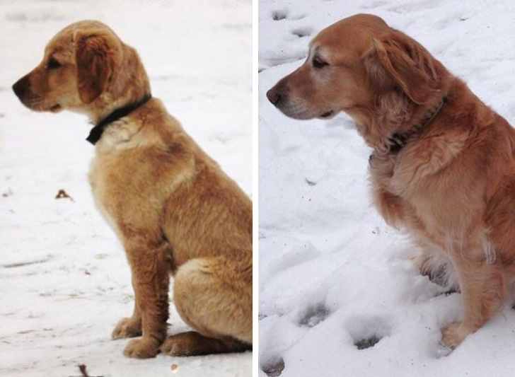 Illustration de l'article : Ces 24 photos o&ugrave; le temps n'a eu que peu d'effet