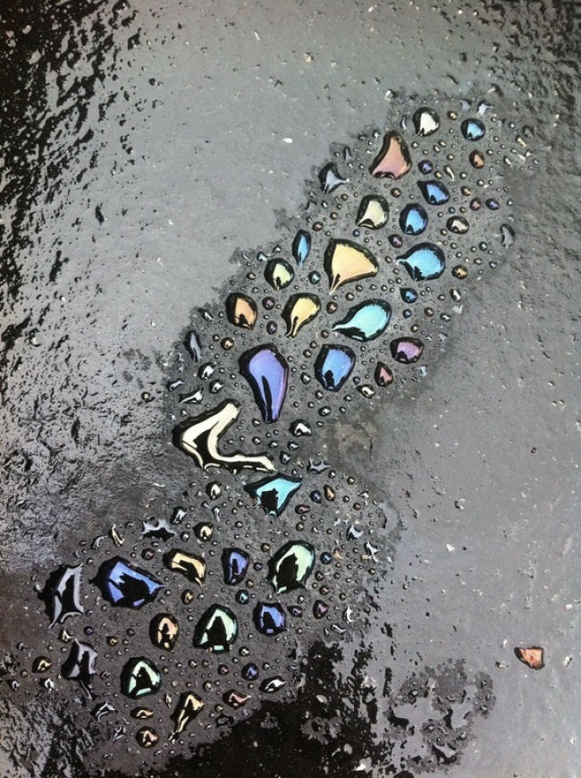 Illustration de l'article : 25 choses insolites illustrées par des photos