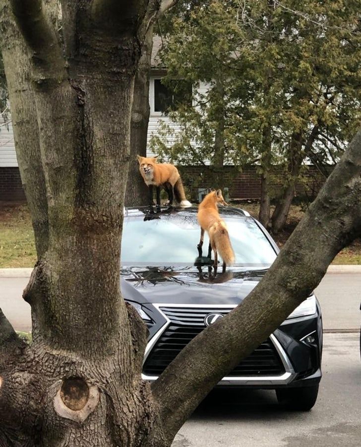 Illustration de l'article : Ces 15 personnes qui ont passé une mauvaise journée