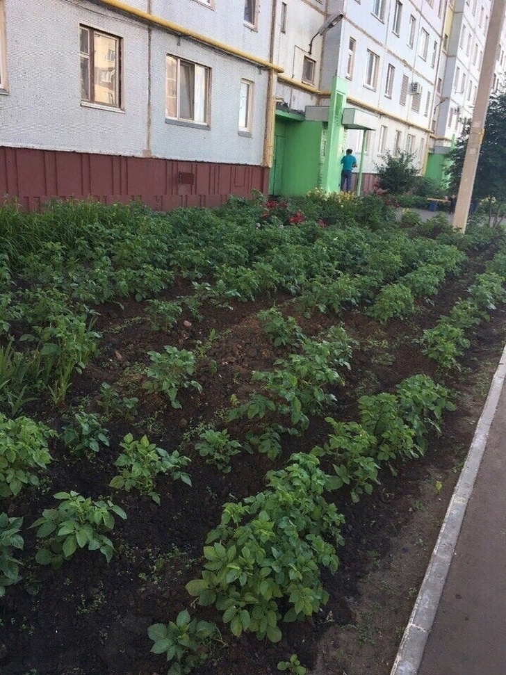 Illustration de l'article : Ces 18 personnes qui font preuve d'imagination au quotidien