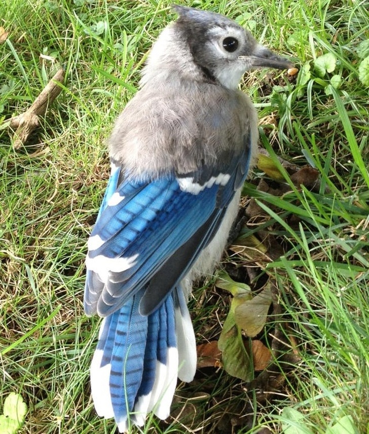 Illustration de l'article : Ces 22 photos saisies au bon moment