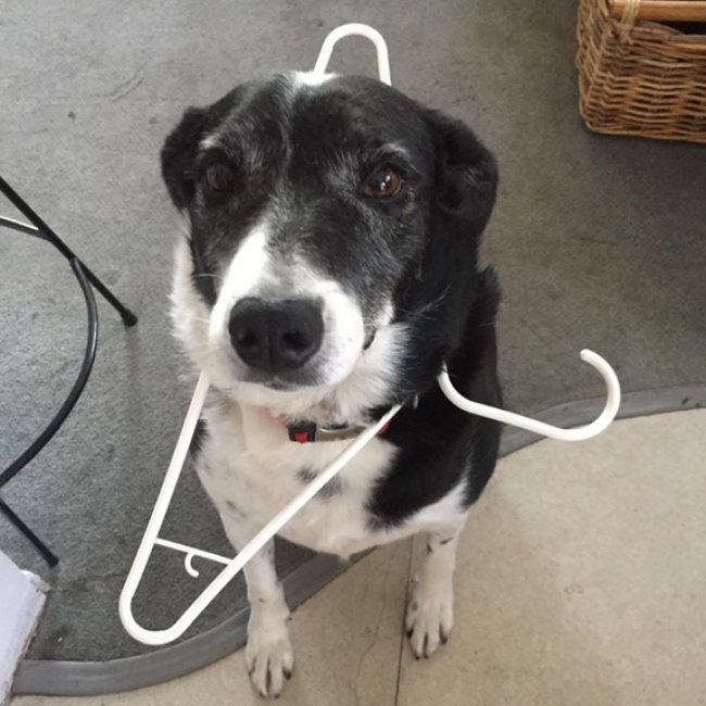 Illustration de l'article : Ces 21 photographies montrent l’absurdité de certaines situations